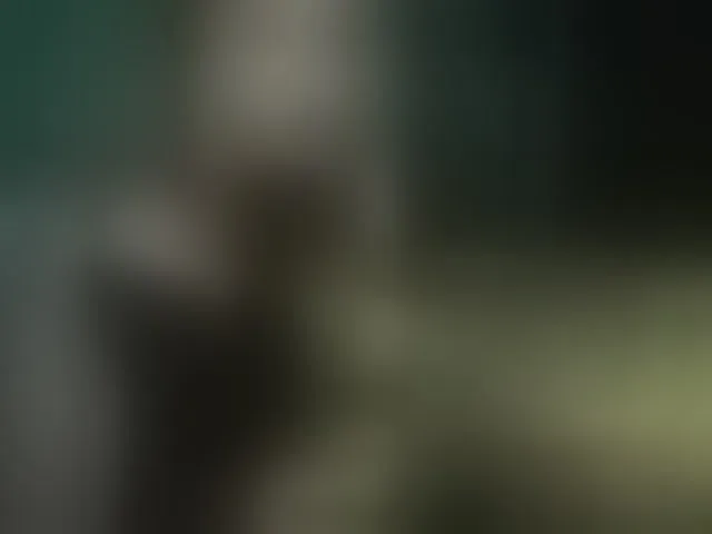 Live sex webcam photo for raingurl #293394550