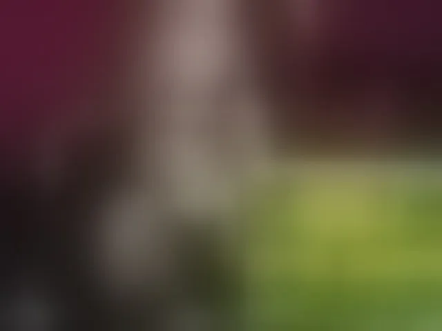 Live sex webcam photo for raingurl #293946494