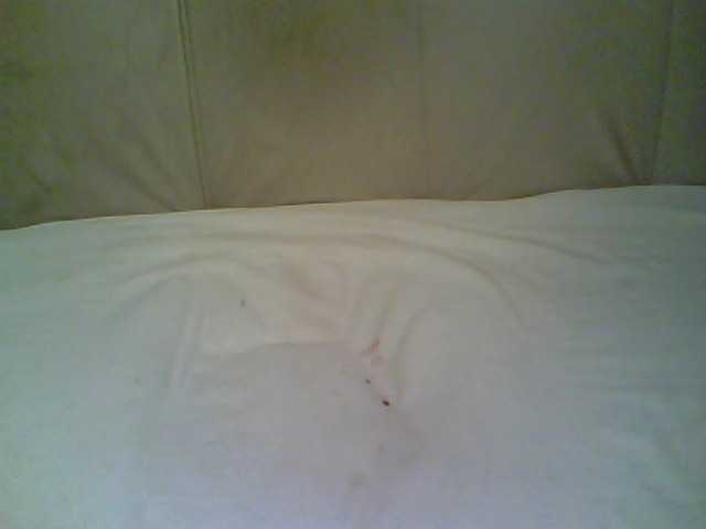 Live sex webcam photo for redcherry #272088979