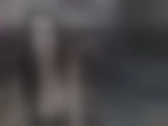 Live sex webcam photo for reinakylie #294034923