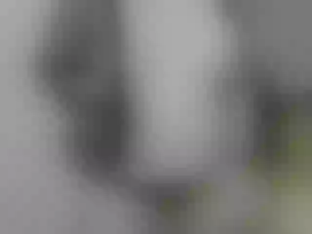 Live sex webcam photo for reis245 #273237474