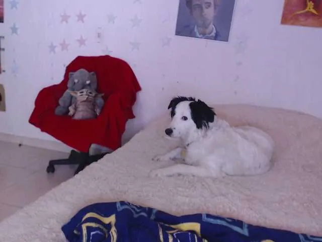 Live sex webcam photo for reiven-brown #273576167