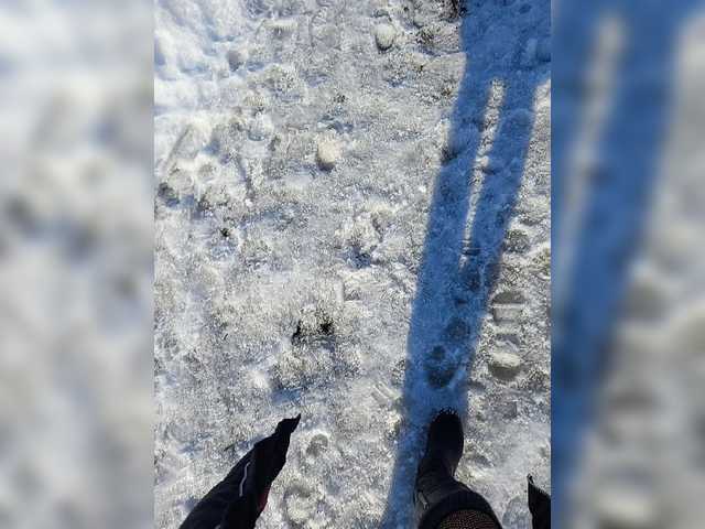 Live sex webcam photo for relishsavor #272551453