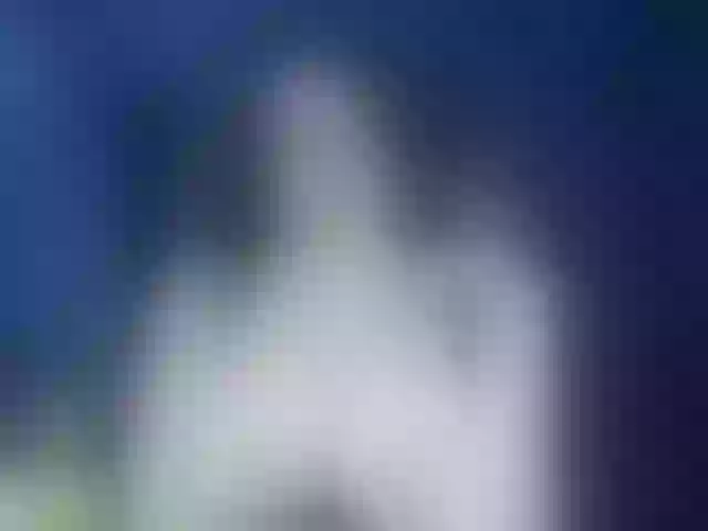 Live sex webcam photo for relyka #272379066