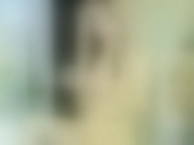 Live sex webcam photo for ribbinpink #294090794