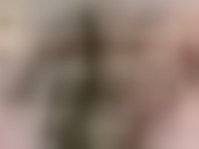 Live sex webcam photo for ribbinpink #294187902