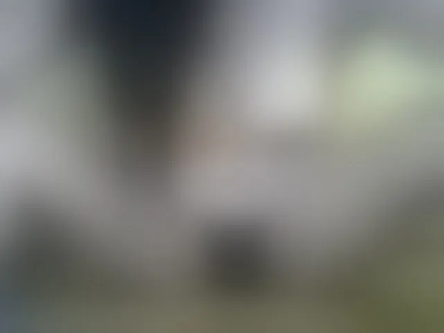 Live sex webcam photo for ricaah #292618788