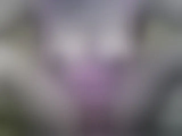 Live sex webcam photo for ricaah #292659354
