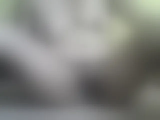 Live sex webcam photo for ricaah #293199864