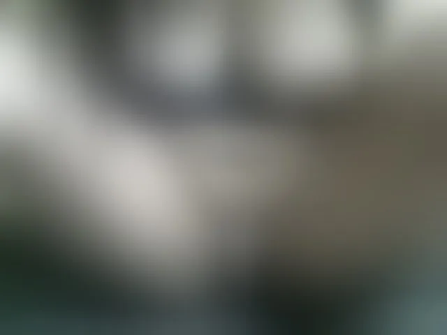 Live sex webcam photo for ricaah #293889884