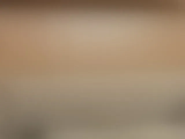 Live sex webcam photo for riley-reid-milf #293172031