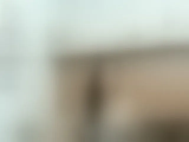 Live sex webcam photo for riley-reid-milf #293275829