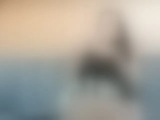 Live sex webcam photo for riley-reid-milf #293291208