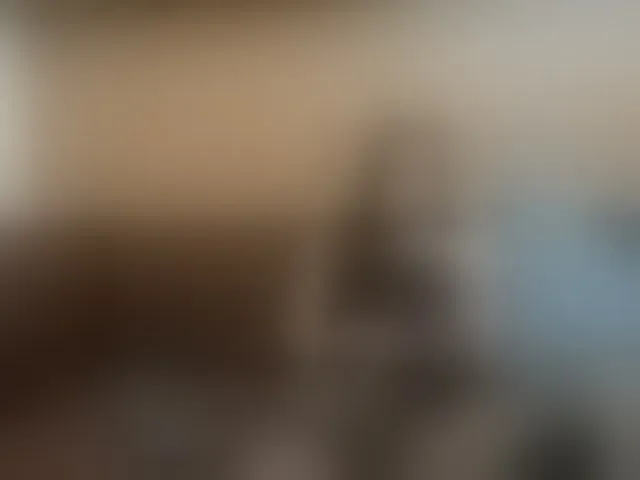 Live sex webcam photo for riley-reid-milf #293571276