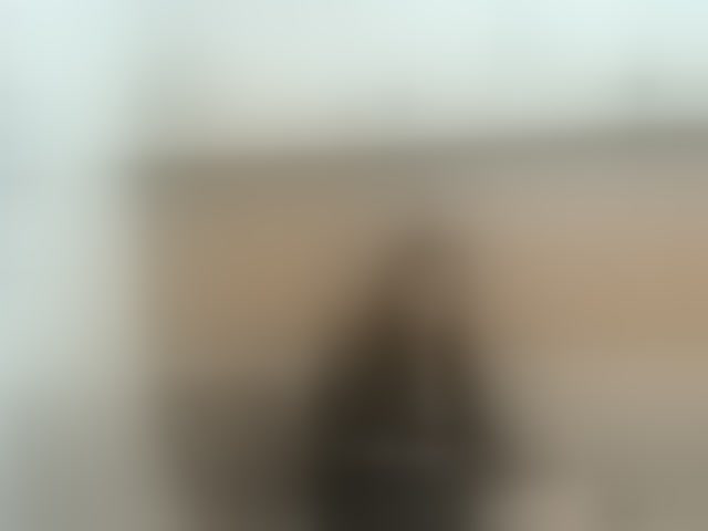 Live sex webcam photo for riley-reid-milf #294008648