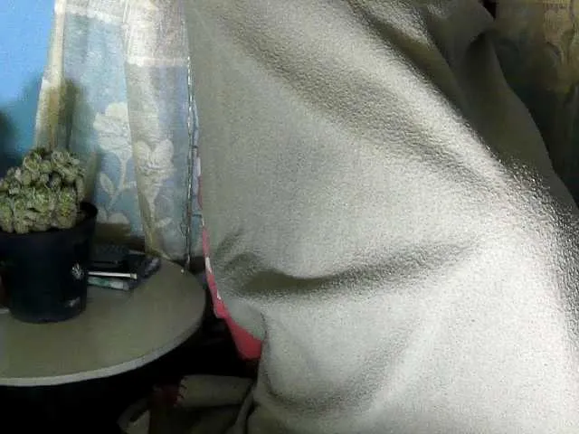 Live sex webcam photo for romancebel #274080458