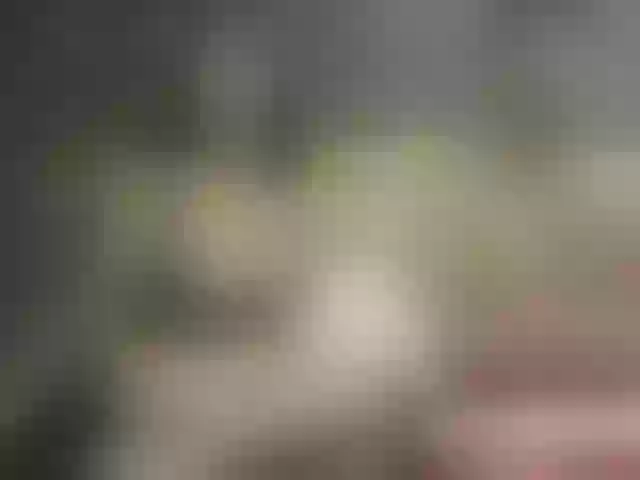 Live sex webcam photo for romeojulieta #275952353