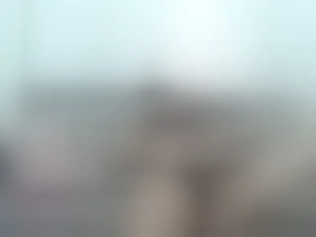 Live sex webcam photo for ronniefit #289413385