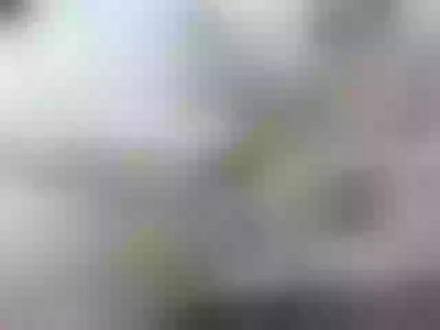 Live sex webcam photo for ronniefit #290008714