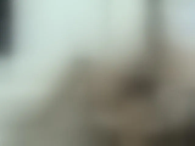 Live sex webcam photo for ronniefit #290047492