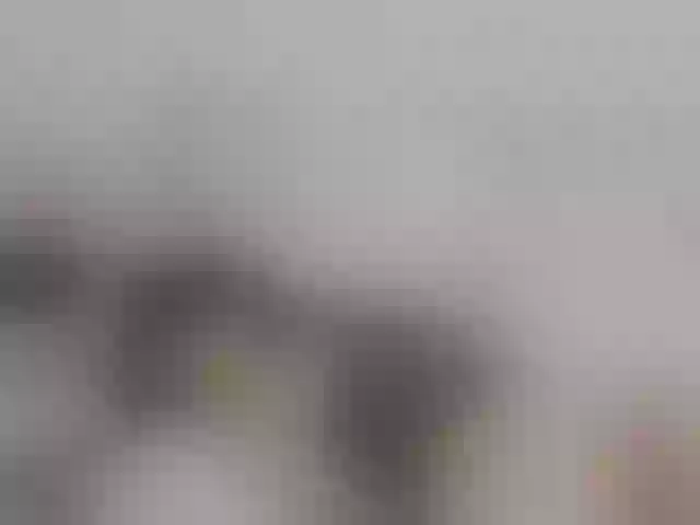 Live sex webcam photo for ronnielotch #276840650
