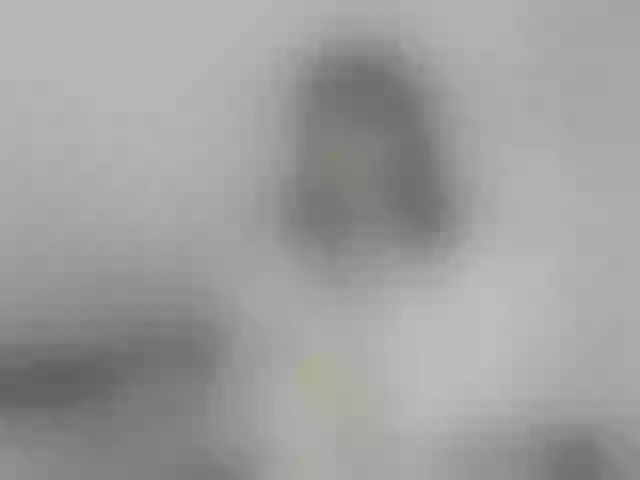 Live sex webcam photo for ronnielotch #277692764