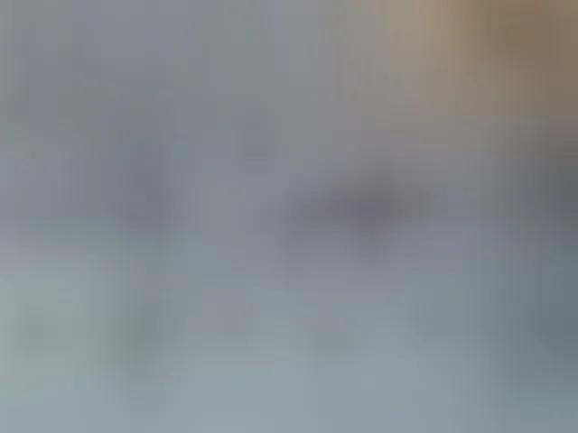Live sex webcam photo for ronnielotch #292529719