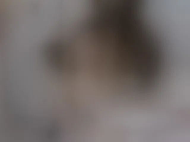 Live sex webcam photo for ronnielotch #293829314