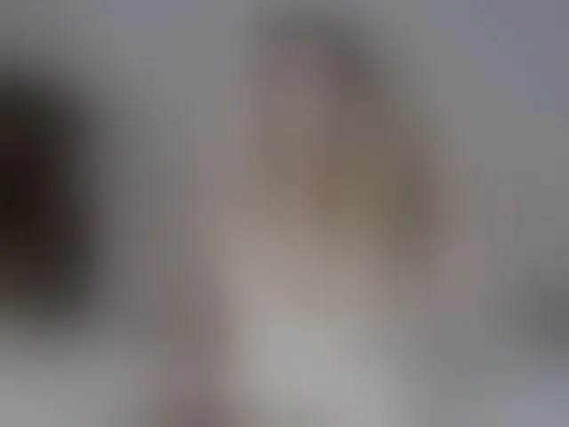 Live sex webcam photo for ronnielotch #294010357