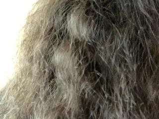 Live sex webcam photo for rose8flower #287899856