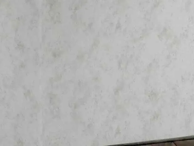 Live sex webcam photo for rose8flower #287900401