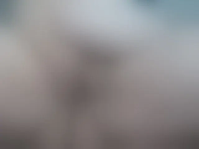 Live sex webcam photo for rosebbw69 #293080724