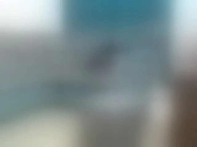 Live sex webcam photo for rosebbw6969 #293916117