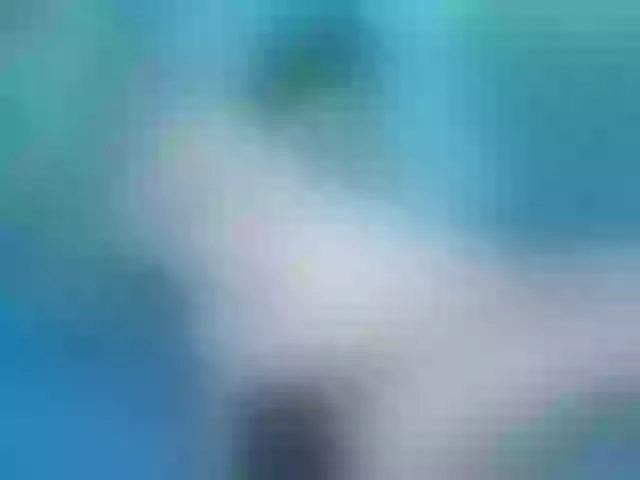 Live sex webcam photo for rosedumont11 #272843935