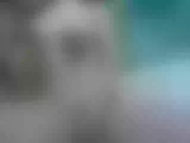 Live sex webcam photo for rosedumont11 #273076385