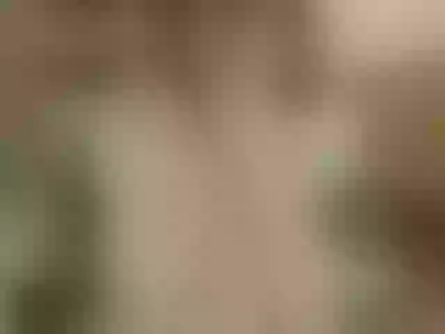 Live sex webcam photo for rosewind8 #276434152