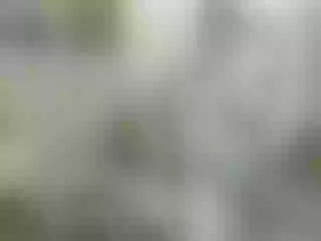 Live sex webcam photo for rosewind8 #276777279