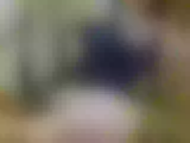 Live sex webcam photo for rosewind8 #277557673
