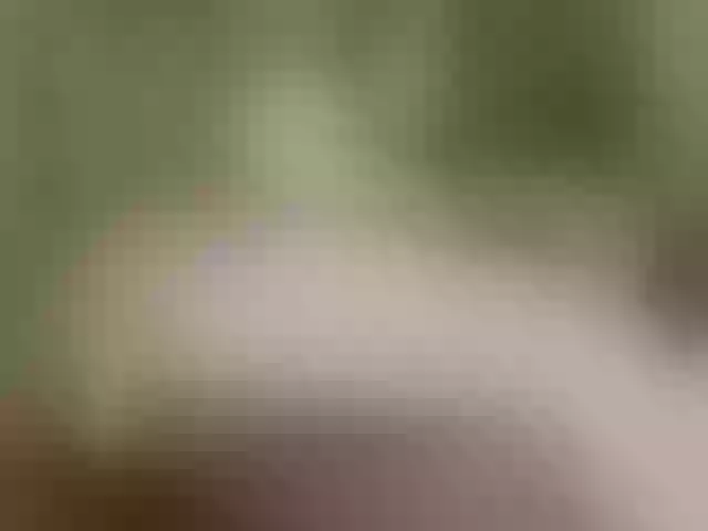 Live sex webcam photo for rosewind8 #277597117