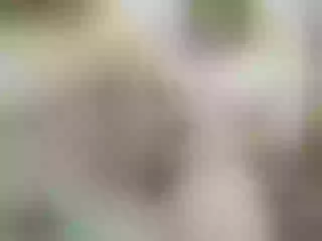 Live sex webcam photo for rosewind8 #278291167