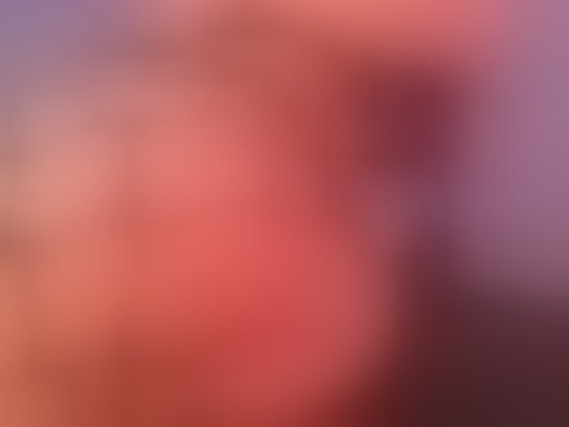 Live sex webcam photo for roshanilewis #294245453