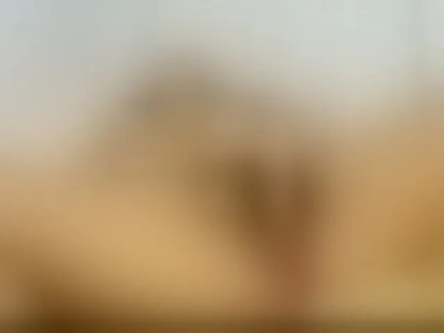 Live sex webcam photo for roxanahills #293703775