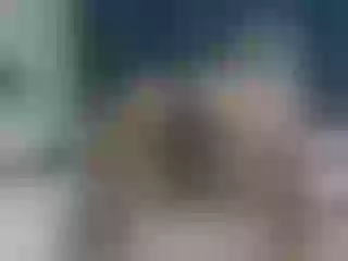 Live sex webcam photo for roxyy69 #151570134