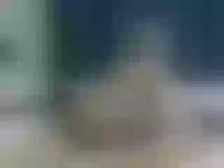Live sex webcam photo for roxyy69 #151576466