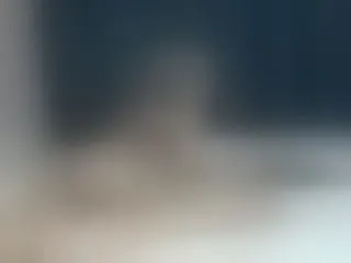 Live sex webcam photo for roxyy69 #157868929