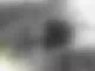 Live sex webcam photo for roxyy69 #188668657