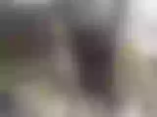 Live sex webcam photo for roxyy69 #188882995