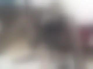 Live sex webcam photo for roxyy69 #193103304
