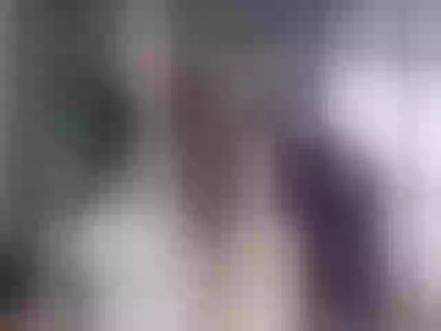 Live sex webcam photo for roxyy69 #292231894