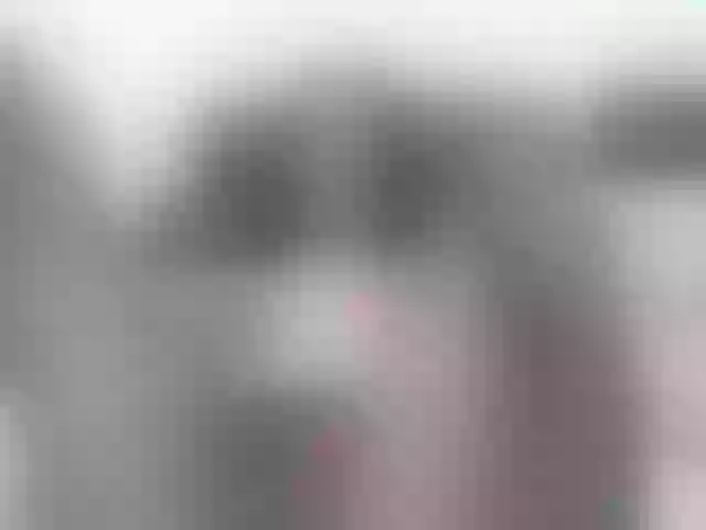 Live sex webcam photo for saaramilleer #291382717